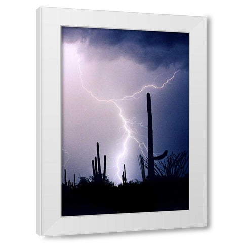Hot August Night White Modern Wood Framed Art Print by Taylor, Douglas