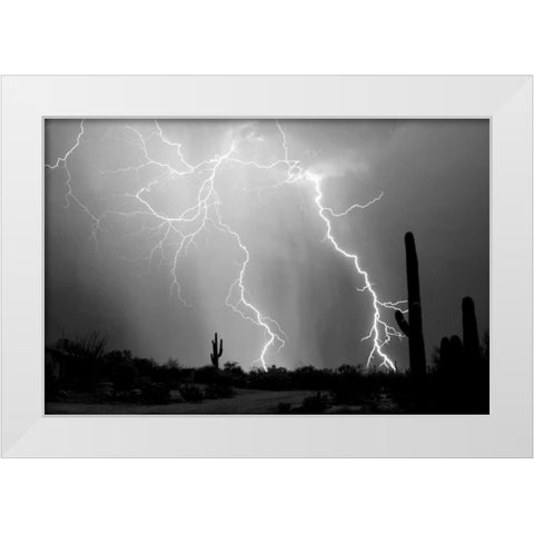 Electrifying BW White Modern Wood Framed Art Print by Taylor, Douglas