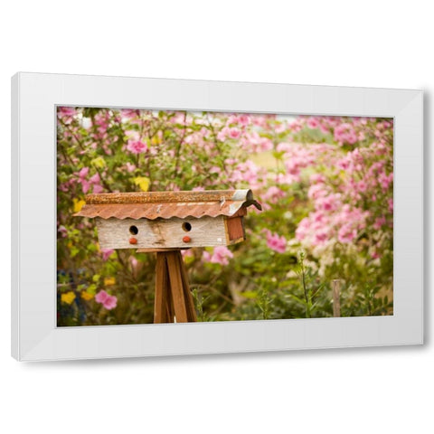 Bird House I White Modern Wood Framed Art Print by Clayton-Thompson, Philip