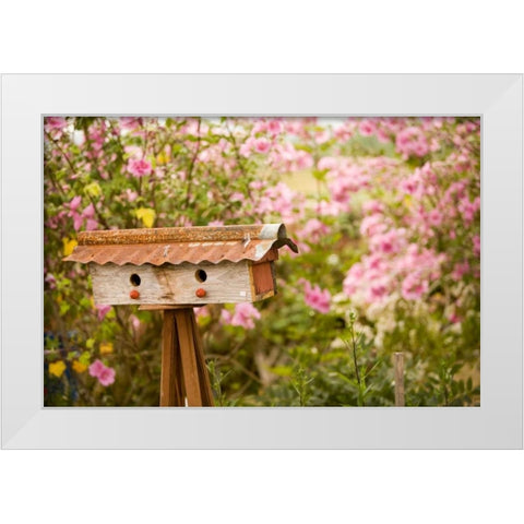 Bird House I White Modern Wood Framed Art Print by Clayton-Thompson, Philip