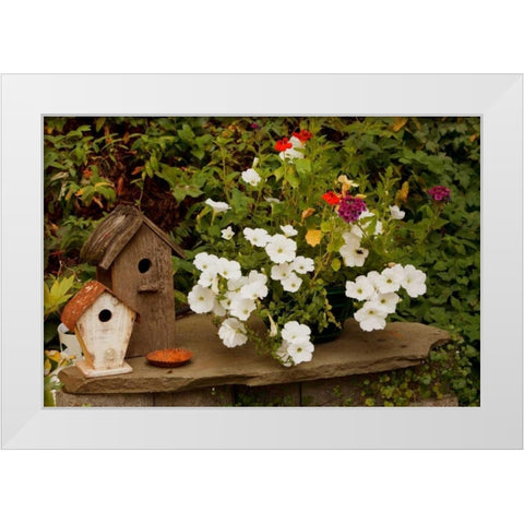 Bird House II White Modern Wood Framed Art Print by Clayton-Thompson, Philip