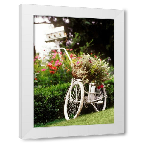 Vintage Bicycle I White Modern Wood Framed Art Print by Clayton-Thompson, Philip