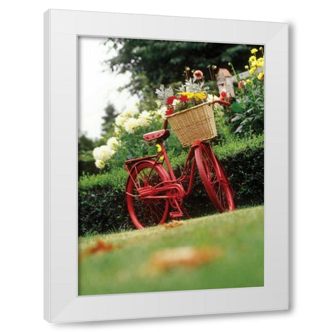 Vintage Bicycle II White Modern Wood Framed Art Print by Clayton-Thompson, Philip