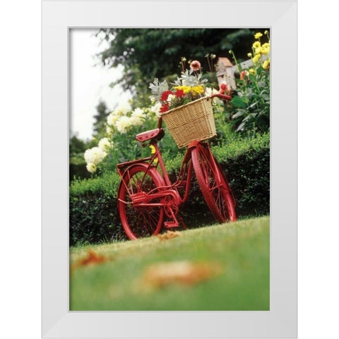 Vintage Bicycle II White Modern Wood Framed Art Print by Clayton-Thompson, Philip