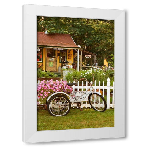 Vintage Bicycle III White Modern Wood Framed Art Print by Clayton-Thompson, Philip