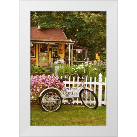 Vintage Bicycle III White Modern Wood Framed Art Print by Clayton-Thompson, Philip