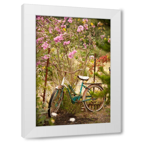 Vintage Bicycle IV White Modern Wood Framed Art Print by Clayton-Thompson, Philip
