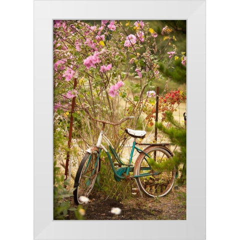 Vintage Bicycle IV White Modern Wood Framed Art Print by Clayton-Thompson, Philip