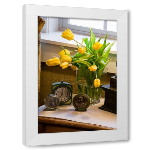 Yellow Tulips I White Modern Wood Framed Art Print by Clayton-Thompson, Philip