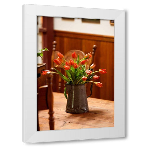 Fresh Tulips I White Modern Wood Framed Art Print by Clayton-Thompson, Philip