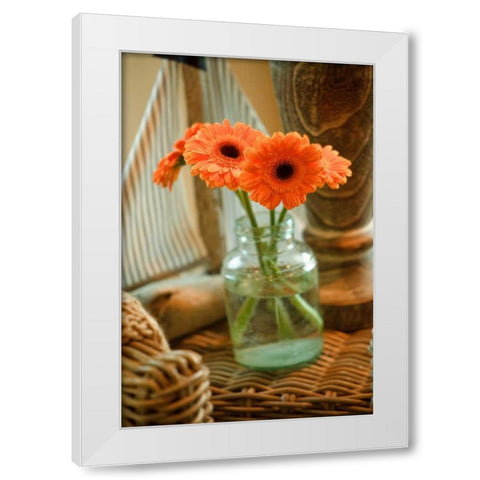Fresh Picked I White Modern Wood Framed Art Print by Clayton-Thompson, Philip