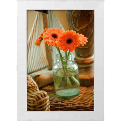 Fresh Picked I White Modern Wood Framed Art Print by Clayton-Thompson, Philip