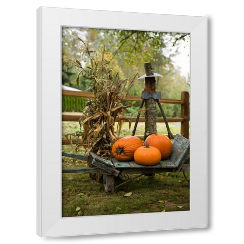 Autumn Harvest II White Modern Wood Framed Art Print by Clayton-Thompson, Philip