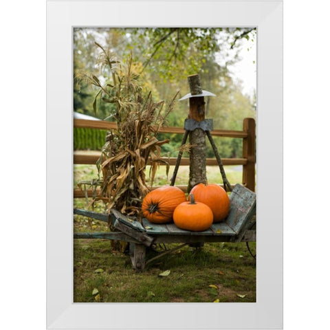 Autumn Harvest II White Modern Wood Framed Art Print by Clayton-Thompson, Philip