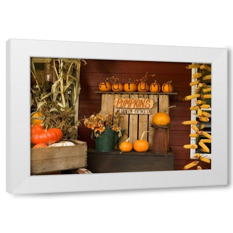 Autumn Harvest III White Modern Wood Framed Art Print by Clayton-Thompson, Philip