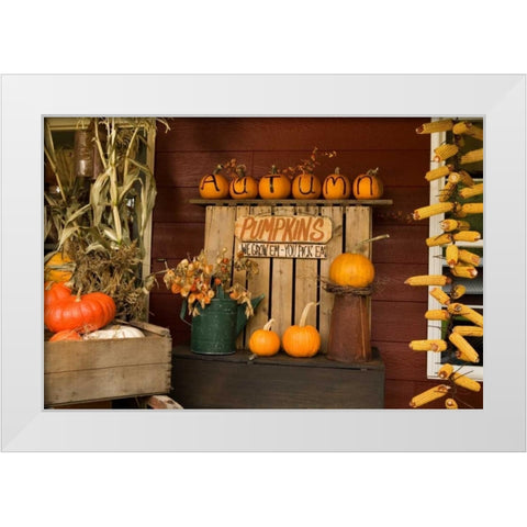 Autumn Harvest III White Modern Wood Framed Art Print by Clayton-Thompson, Philip