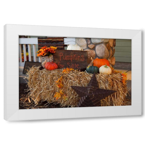 Autumn Harvest IV White Modern Wood Framed Art Print by Clayton-Thompson, Philip