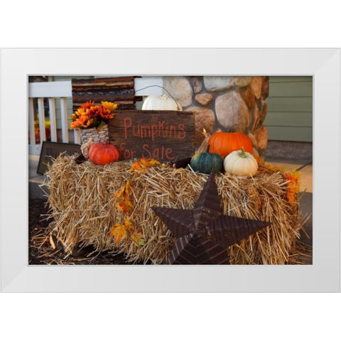 Autumn Harvest IV White Modern Wood Framed Art Print by Clayton-Thompson, Philip