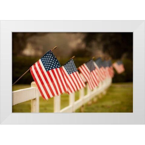 Flags I White Modern Wood Framed Art Print by Clayton-Thompson, Philip