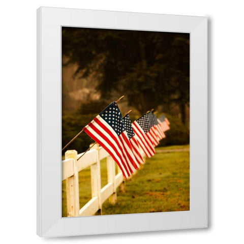 Flags II White Modern Wood Framed Art Print by Clayton-Thompson, Philip