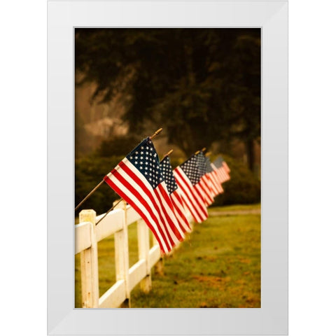 Flags II White Modern Wood Framed Art Print by Clayton-Thompson, Philip