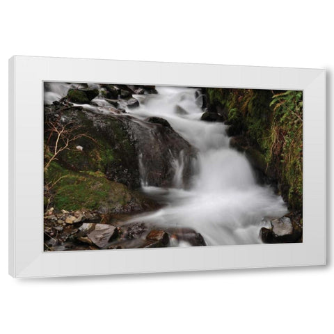 Stream Falls III White Modern Wood Framed Art Print by Thomas, Logan
