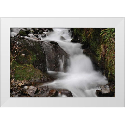 Stream Falls III White Modern Wood Framed Art Print by Thomas, Logan