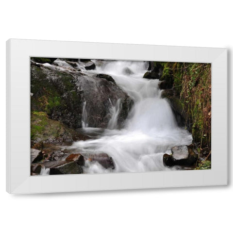 Stream Falls IV White Modern Wood Framed Art Print by Thomas, Logan