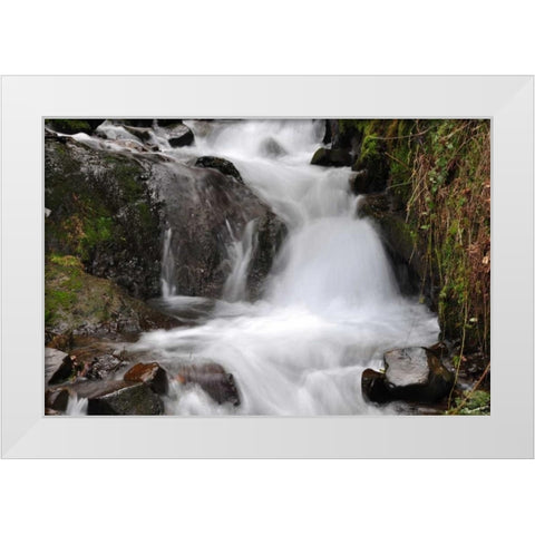 Stream Falls IV White Modern Wood Framed Art Print by Thomas, Logan