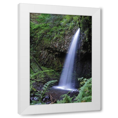Serene Waterfall White Modern Wood Framed Art Print by Thomas, Logan
