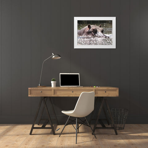 Hippo I White Modern Wood Framed Art Print by Underdahl, Dana