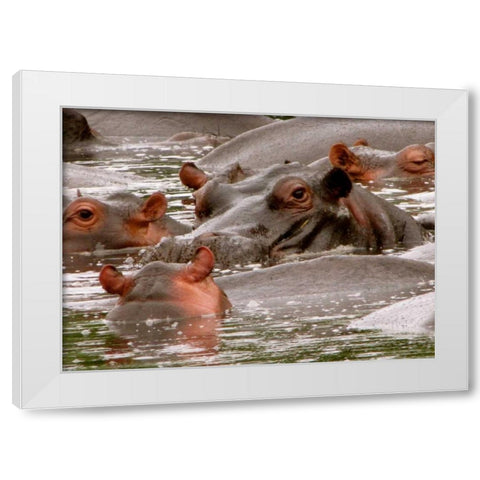 Hippo V White Modern Wood Framed Art Print by Underdahl, Dana