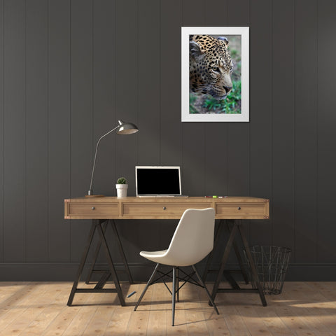 Leopard II White Modern Wood Framed Art Print by Underdahl, Dana