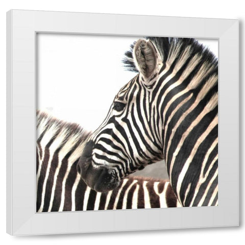 Sarari Zebra V White Modern Wood Framed Art Print by Underdahl, Dana