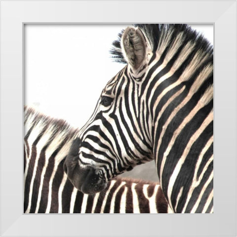 Sarari Zebra V White Modern Wood Framed Art Print by Underdahl, Dana
