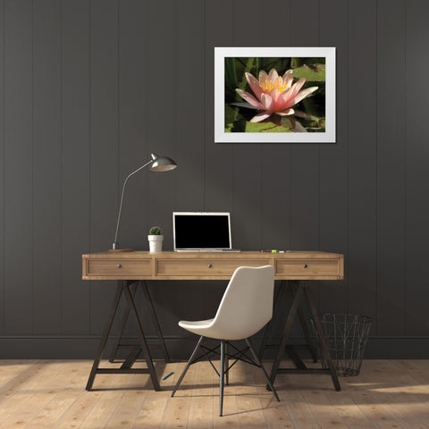 Pink Water Lily White Modern Wood Framed Art Print by Underdahl, Dana
