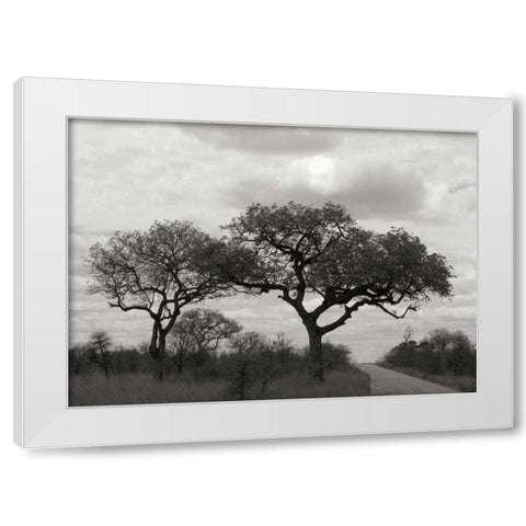Tree II White Modern Wood Framed Art Print by Underdahl, Dana
