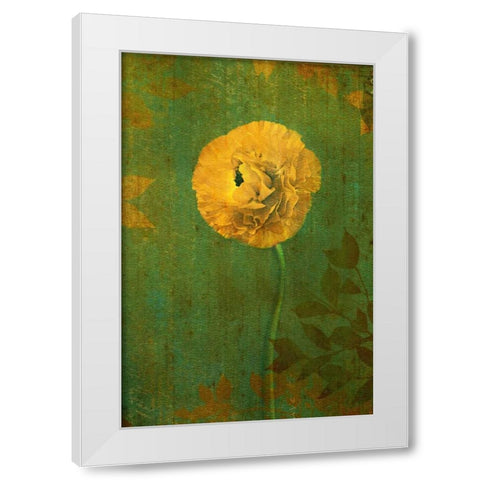 Yellow Renunculus White Modern Wood Framed Art Print by Geyman, Vitaly