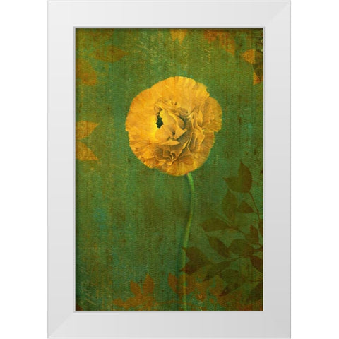 Yellow Renunculus White Modern Wood Framed Art Print by Geyman, Vitaly