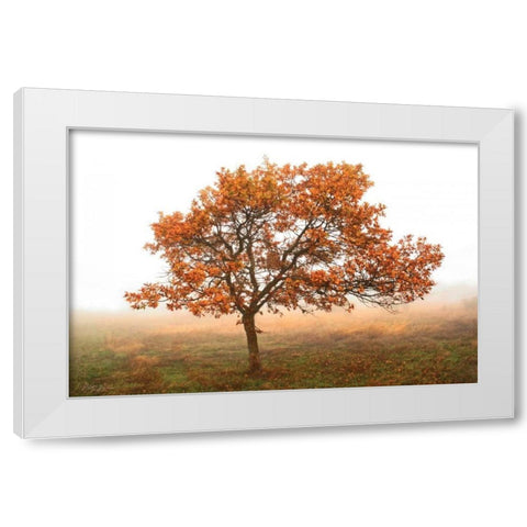 Burning Oak White Modern Wood Framed Art Print by Geyman, Vitaly