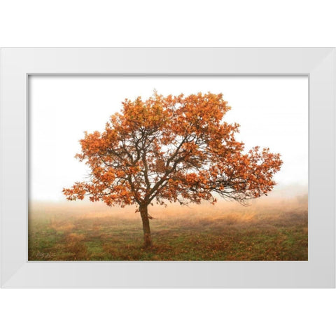 Burning Oak White Modern Wood Framed Art Print by Geyman, Vitaly
