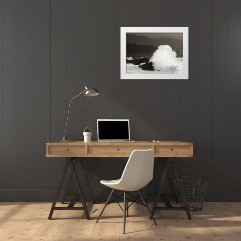 Sea Fan White Modern Wood Framed Art Print by Geyman, Vitaly