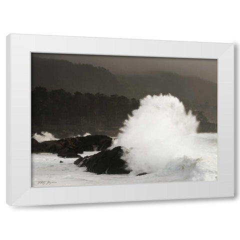 Sea Fan White Modern Wood Framed Art Print by Geyman, Vitaly