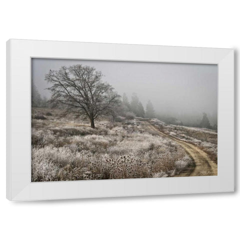 Winter Serenity White Modern Wood Framed Art Print by Geyman, Vitaly