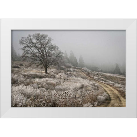 Winter Serenity White Modern Wood Framed Art Print by Geyman, Vitaly