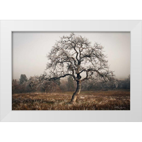 Frosty Tree White Modern Wood Framed Art Print by Geyman, Vitaly