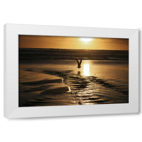 Sunset Bird White Modern Wood Framed Art Print by Geyman, Vitaly