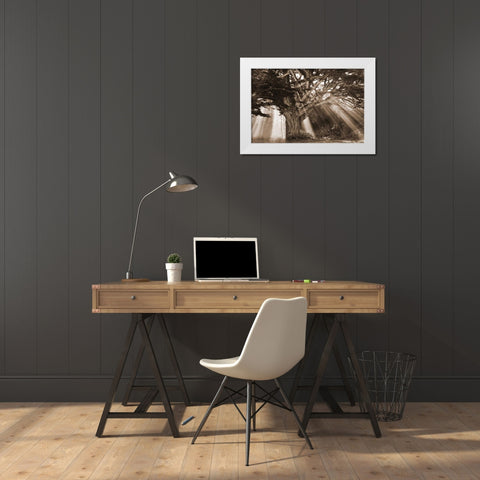 Moses Tree White Modern Wood Framed Art Print by Geyman, Vitaly