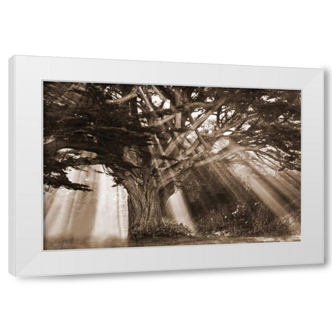 Moses Tree White Modern Wood Framed Art Print by Geyman, Vitaly