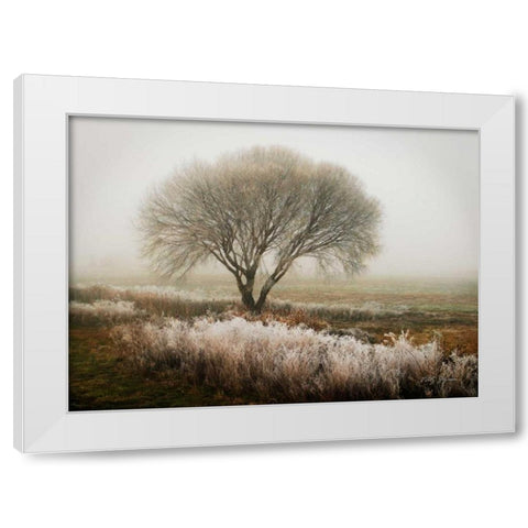 Tranquility I White Modern Wood Framed Art Print by Geyman, Vitaly